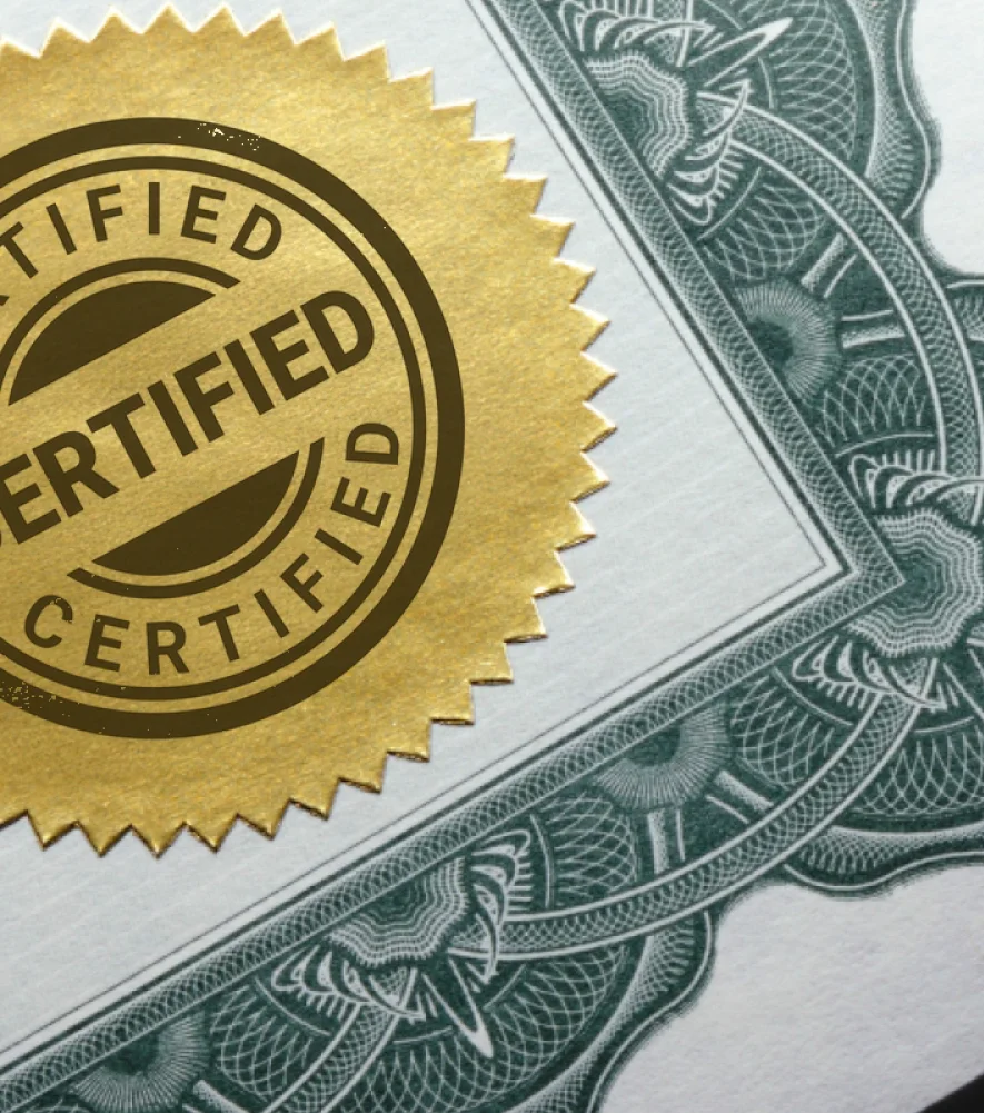 respaldo-profesional